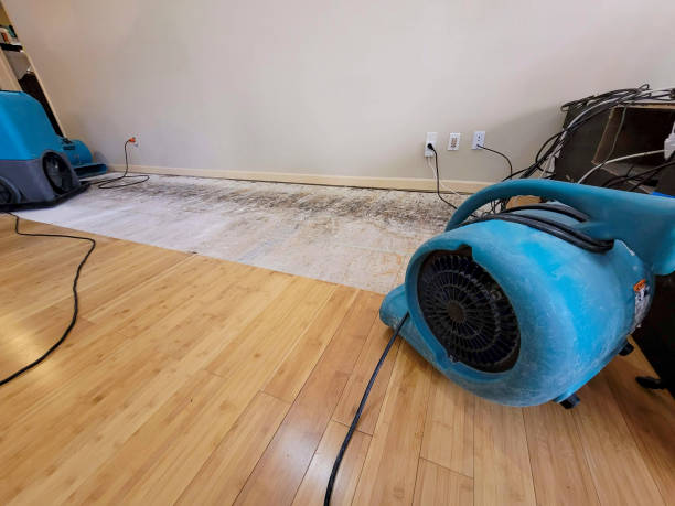 Professional Flood Damage Cleanup technician working in Mound, MN